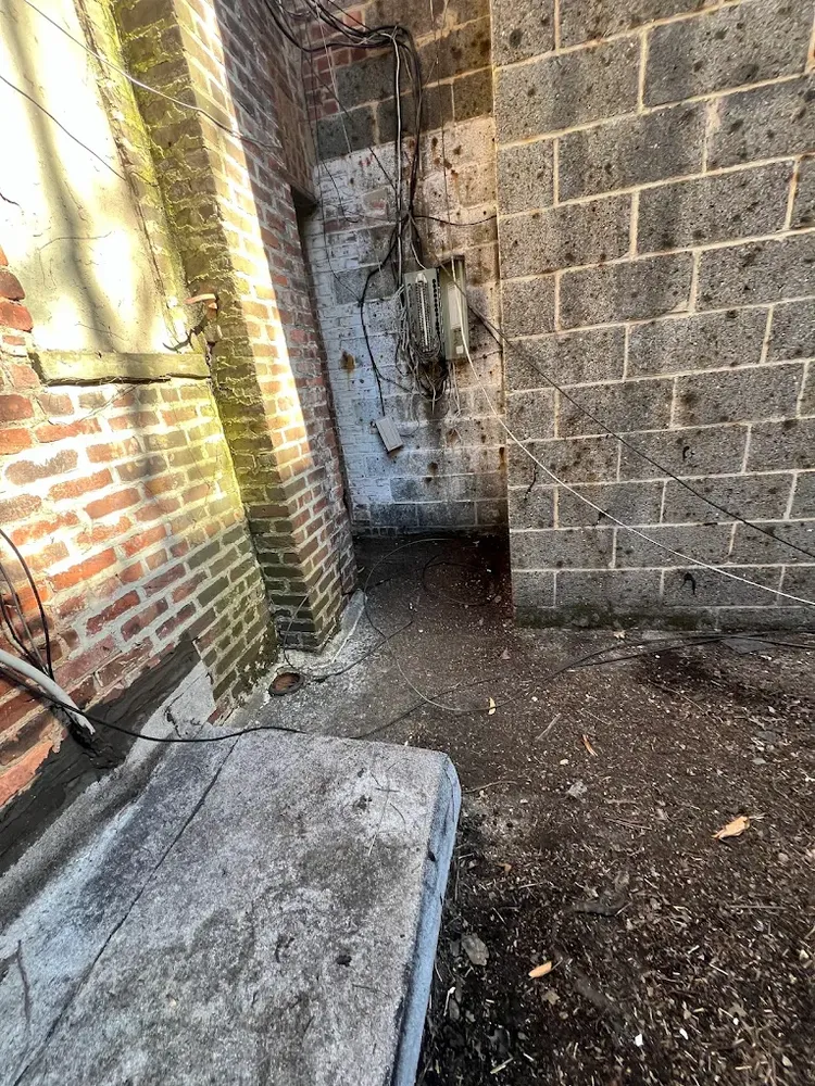 All Photos for Ortiz & Puchi General Cleaning INC. in Brooklyn, NY