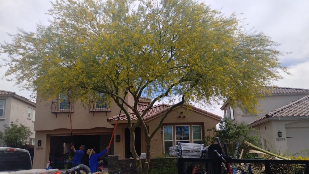 All Photos for Camacho AZ Landscaping in Peoria, AZ