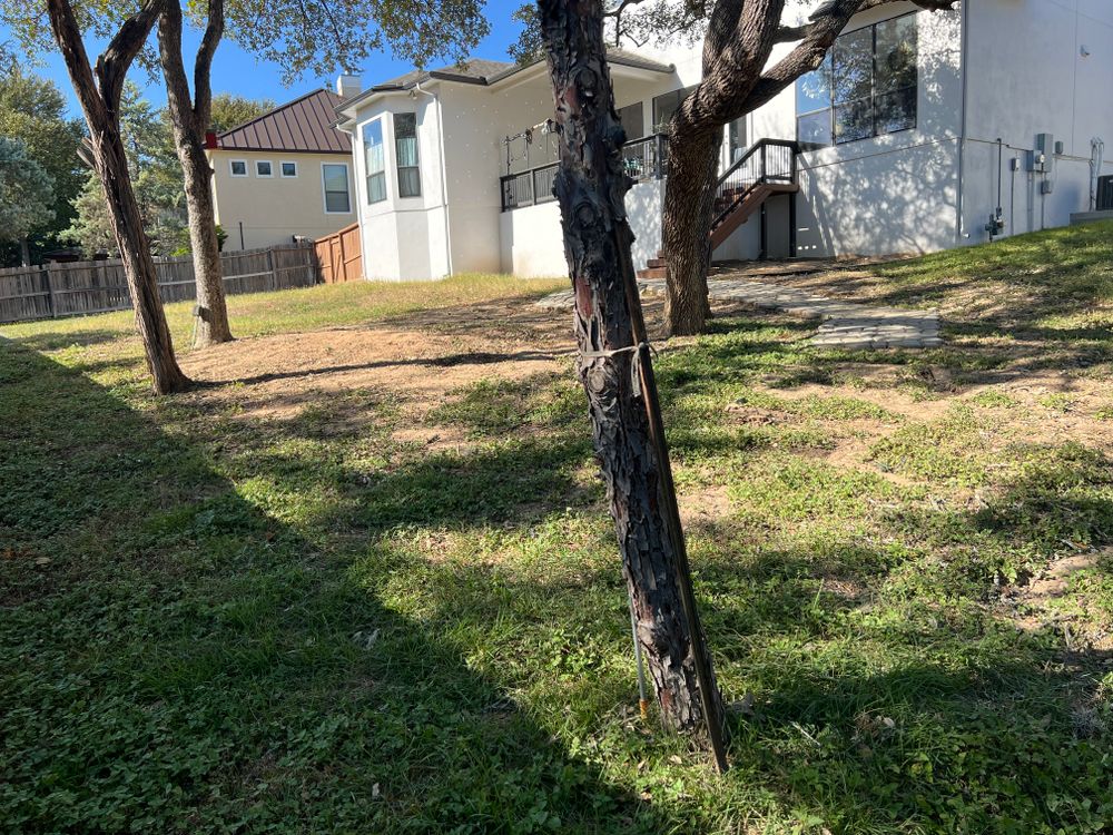 All Photos for DR Landscape in San Antonio, TX