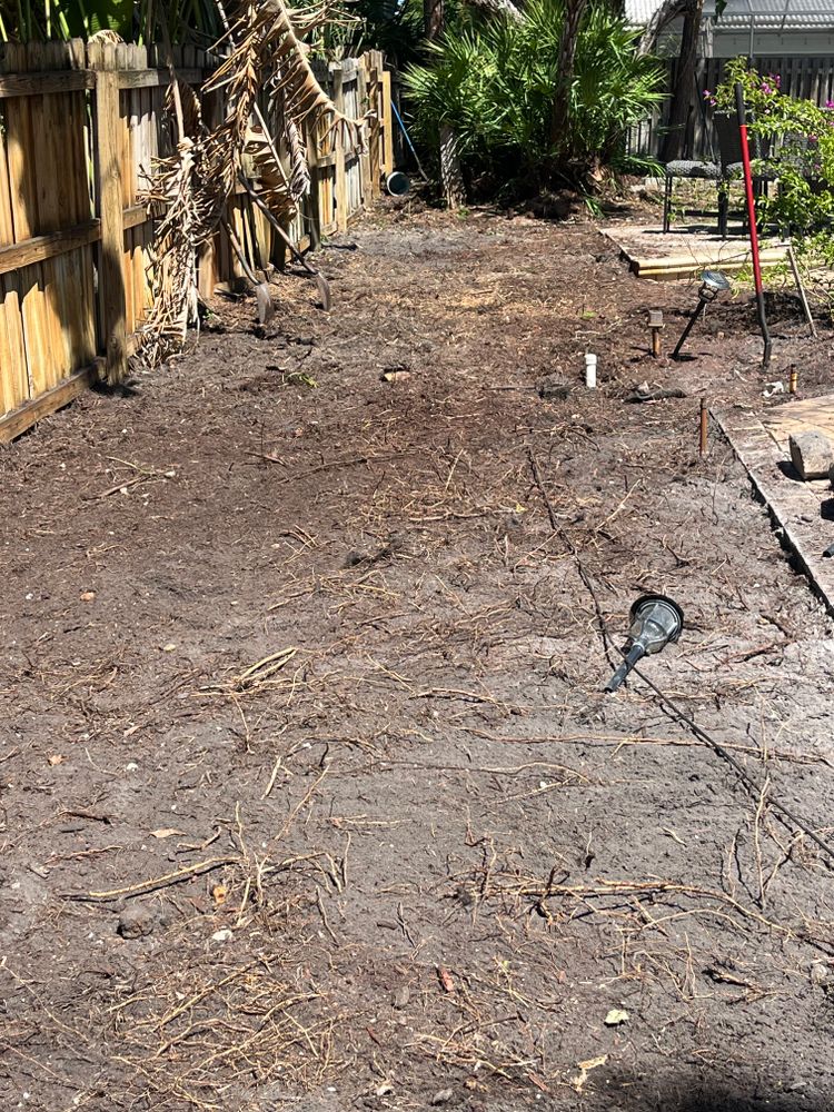 All Photos for Busy Beaver Stump Removal, Inc in Clearwater, FL