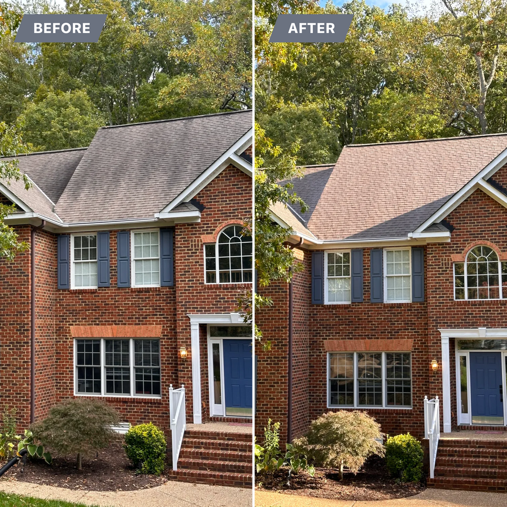 All Photos for LeafTide Solutions in Richmond, VA