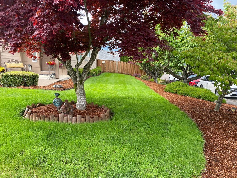 All Photos for Willamette Landscaping and Tree Services in Albany, OR