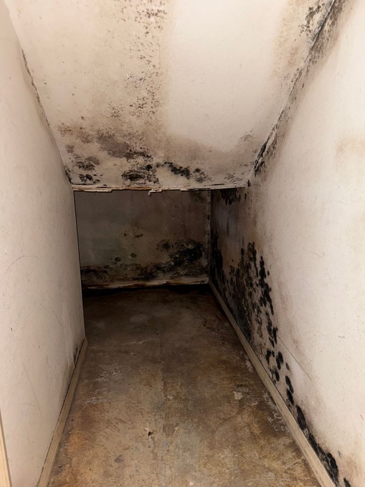 All Photos for N&D Restoration Services When Disaster Attacks, We Come In in Cape Coral,  FL