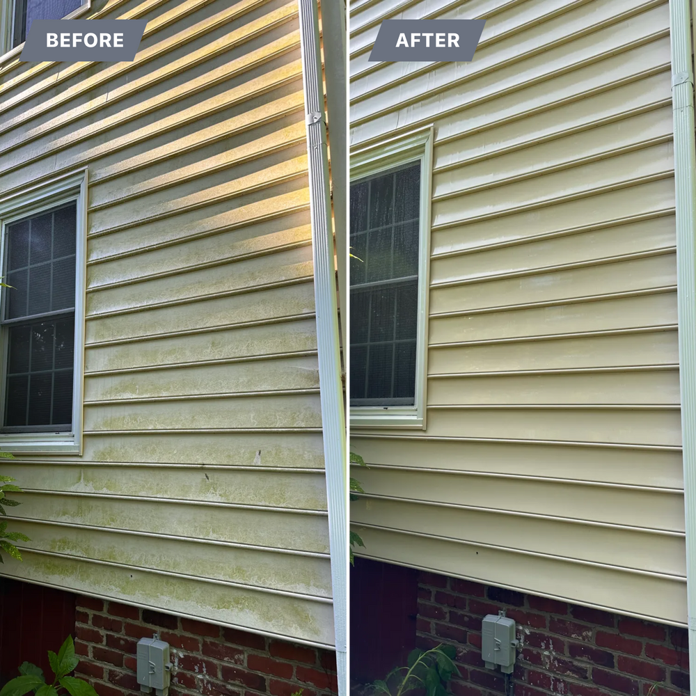 All Photos for LeafTide Solutions in Richmond, VA