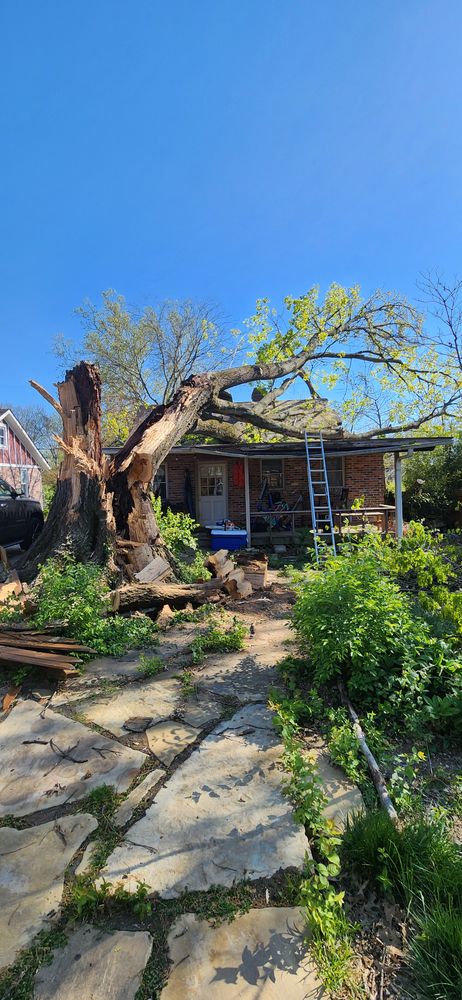 All Photos for Tree Fellers in Sumner County, TN