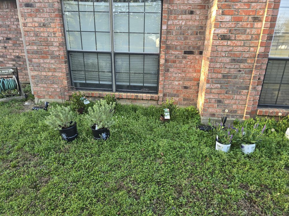 All Photos for Ornelas Lawn Service in Lone Oak, Texas