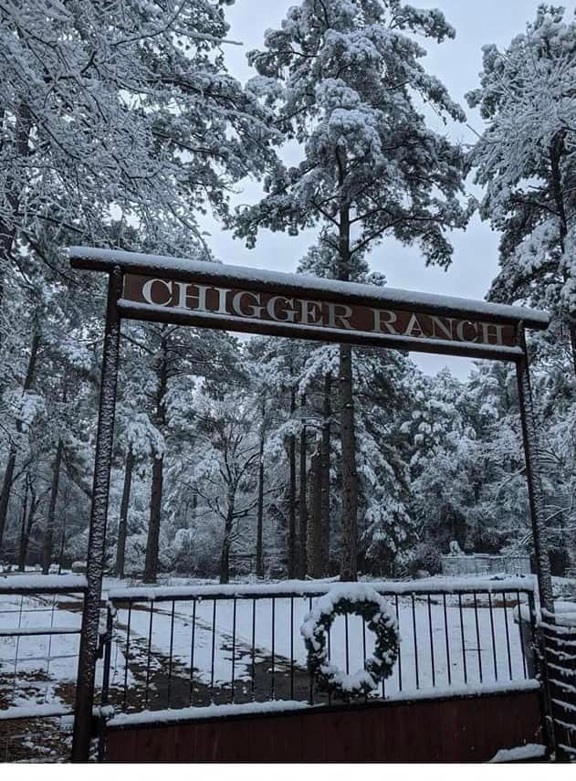 All Photos for Aguilar Fencing and Gates in Longview, Texas