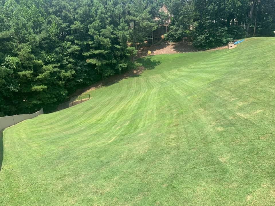 Our Fall Clean Up service ensures your yard looks pristine by removing leaves, debris, and dead plants, preparing your landscape for winter while maintaining its health and beauty throughout the season. for Bega Landscape Services in Atlanta, Georgia