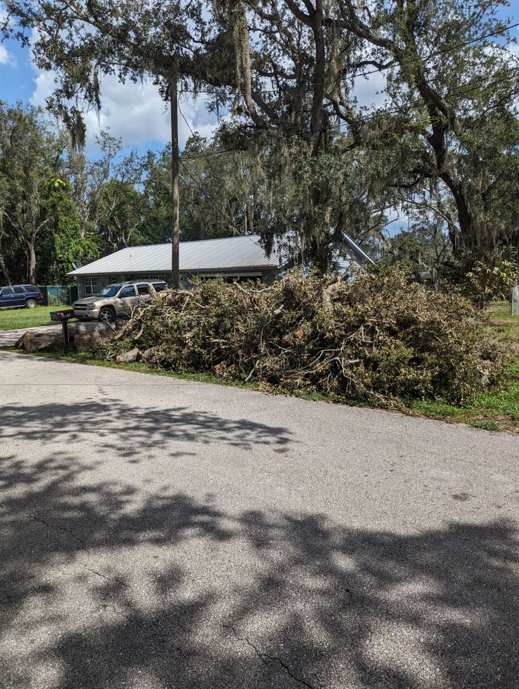 All Photos for Regal Tree Service and Stump Grinding in Wauchula, FL