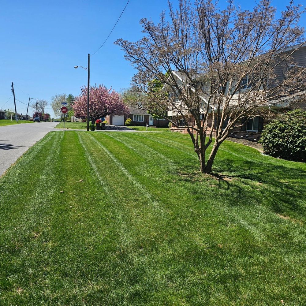 All Photos for Trippin A-Lawn in Bethlehem, PA