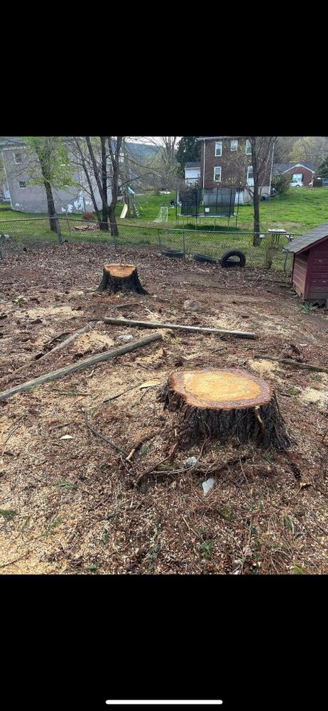 All Photos for NRV Tree Pro, LLC in Narrows, VA