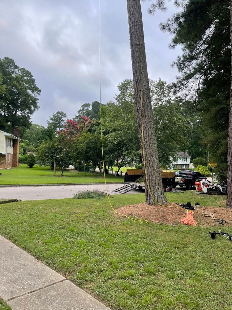 All Photos for J&J Tree Services in Raleigh, NC
