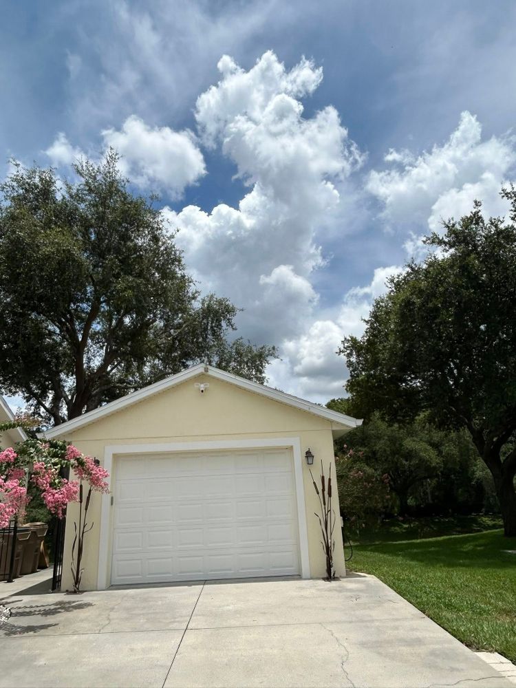 Tree Removal for A-1 Arbor Tech in Groveland, FL