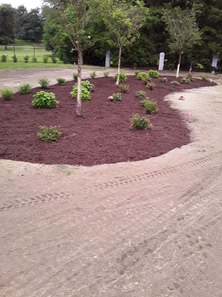 All Photos for Handy Al's Landscaping LLC in Greenville, NC