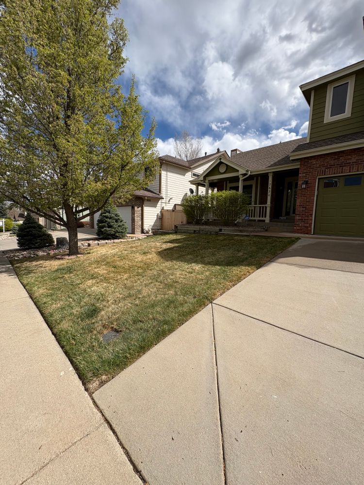 Lawn Care for Denver Bros Lawn Control in Denver, CO