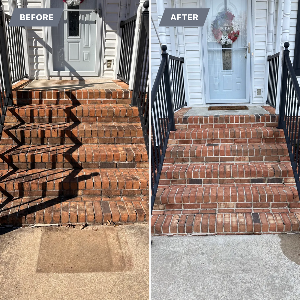 All Photos for LeafTide Solutions in Richmond, VA