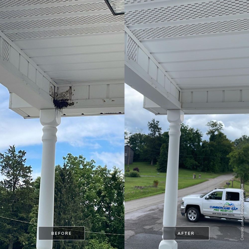 Home Softwash for Cumberland Gap Pro Wash LLC in Harrogate, Tennessee