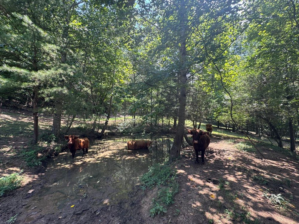 All Photos for F&CO Excavation in Clinton, TN