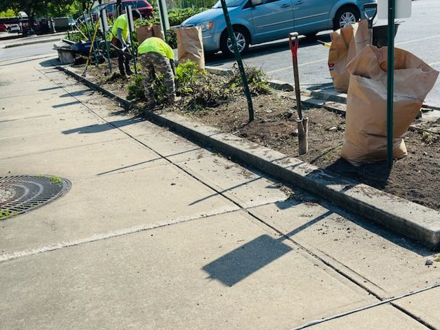 All Photos for Manny's Cleaning,Lawn Care & Snow Removal Services in Champaign, IL