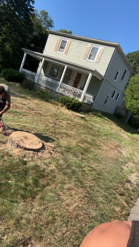 Tree Removal for Dwights Tree Service LLC in Middleborough, MA