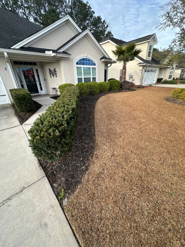 Before & Afters  for Coastalscapes Landscaping & Turf Management  in Savannah, GA