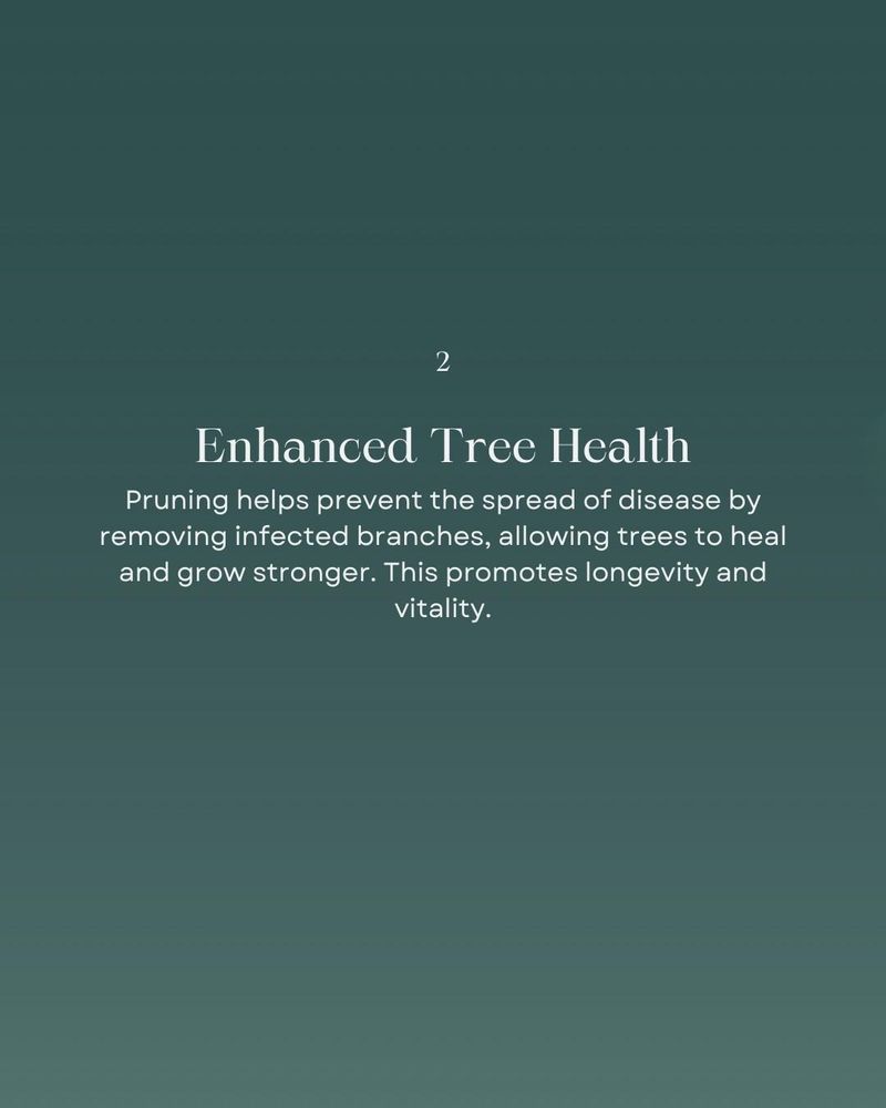 All Photos for Oakwood Tree Removal LLC in Oak Creek,  WI