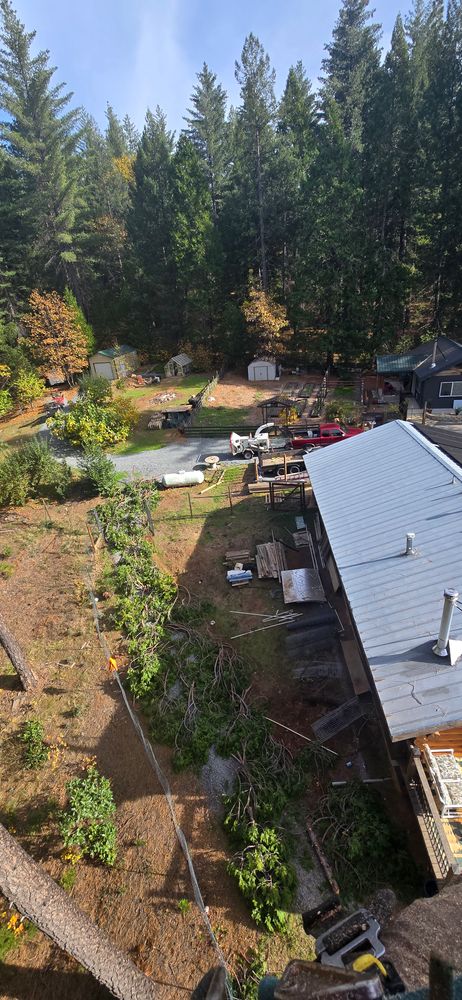 All Photos for George Staddan's Professional Tree Care in Placerville, CA