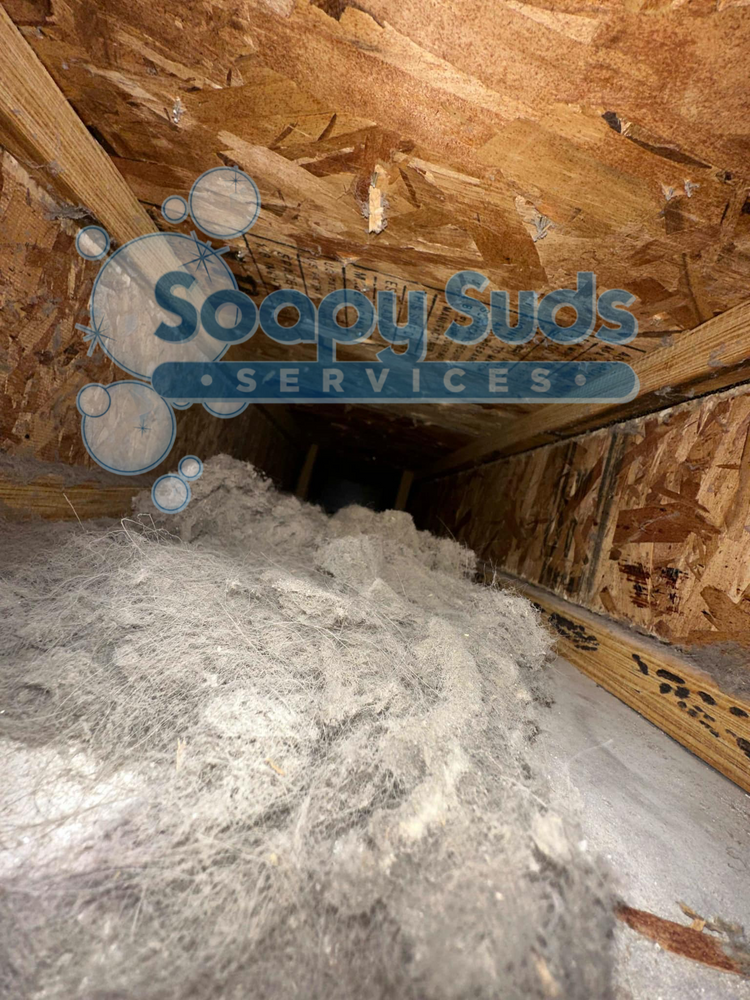 Air Duct Cleaning for Soapy Suds Services in St. Charles, IL