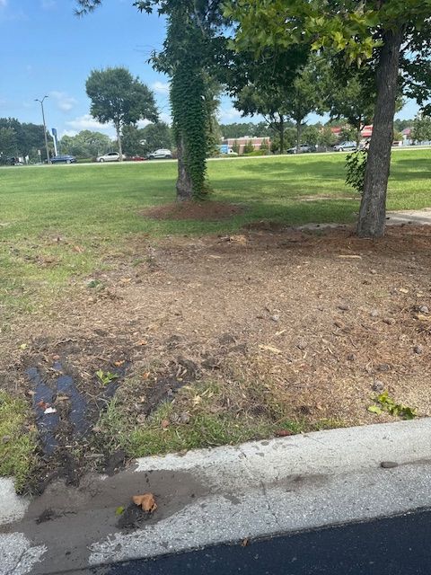 All Photos for Hawkins Tree Service & Land Management in Richmond Hill, GA