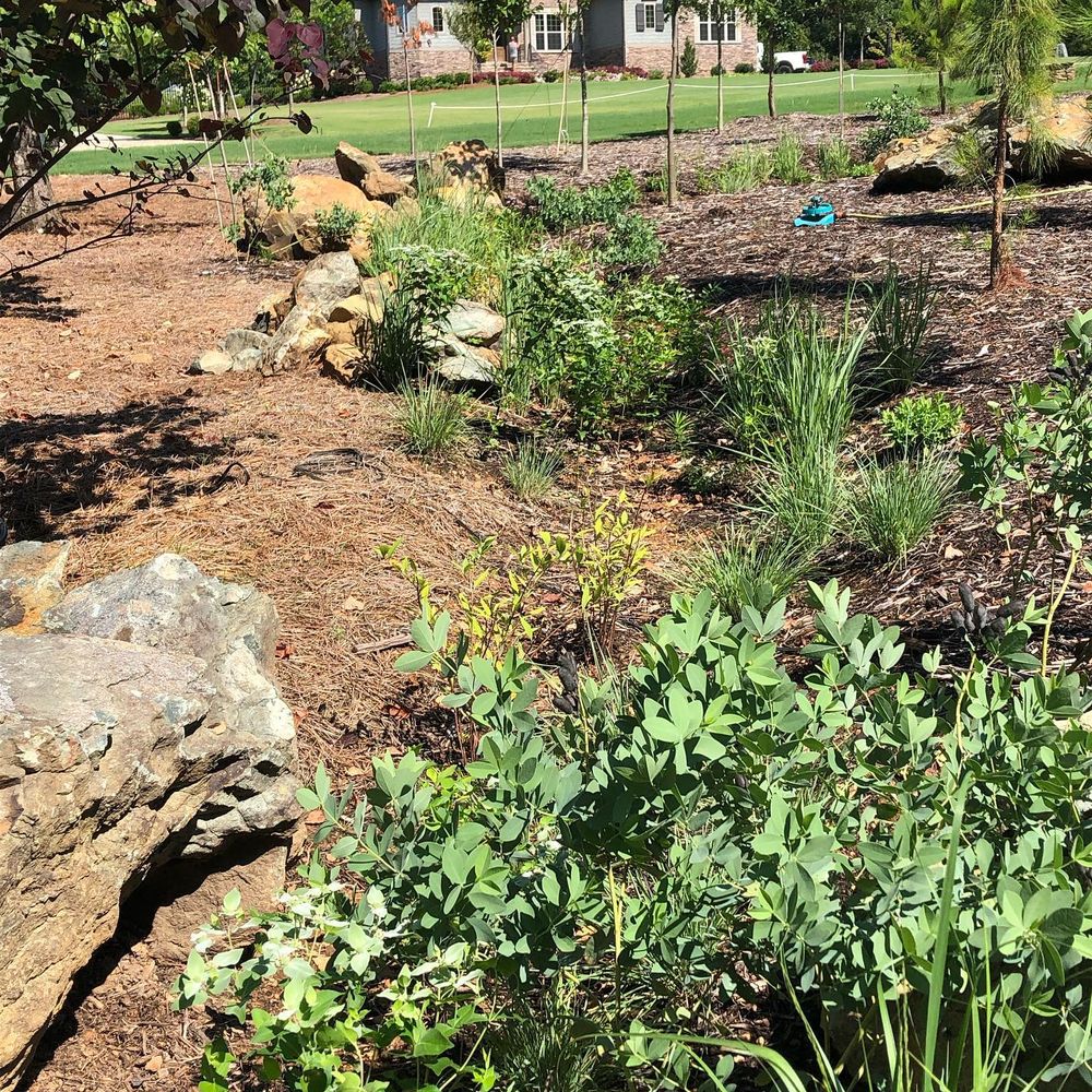 Landscaping for Christina King Landscape Design in West Raleigh, NC