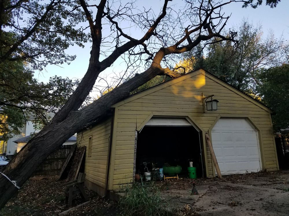 All Photos for O&O Tree Service in Rockford, IL