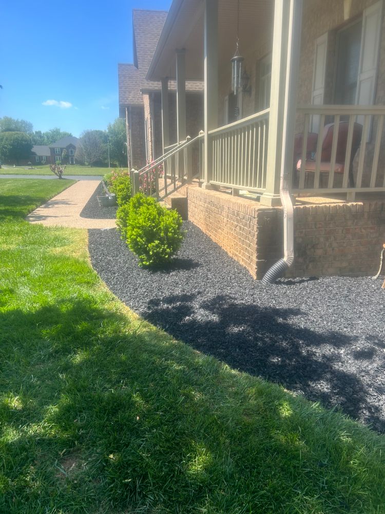 All Photos for Optimum Tree Service And Landscaping in Bowling Green, KY