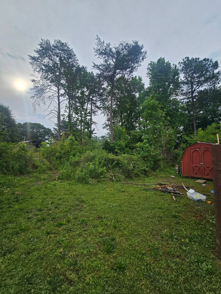 All Photos for Sasquatch Tree Services LLC in Spartanburg, SC