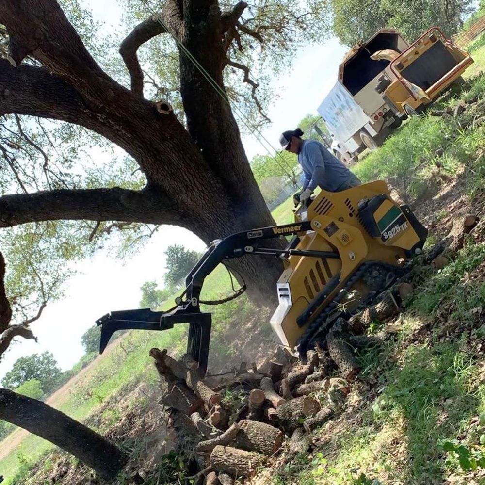 Pruning Services  for Braun Tree Service  in Floresville, Texas