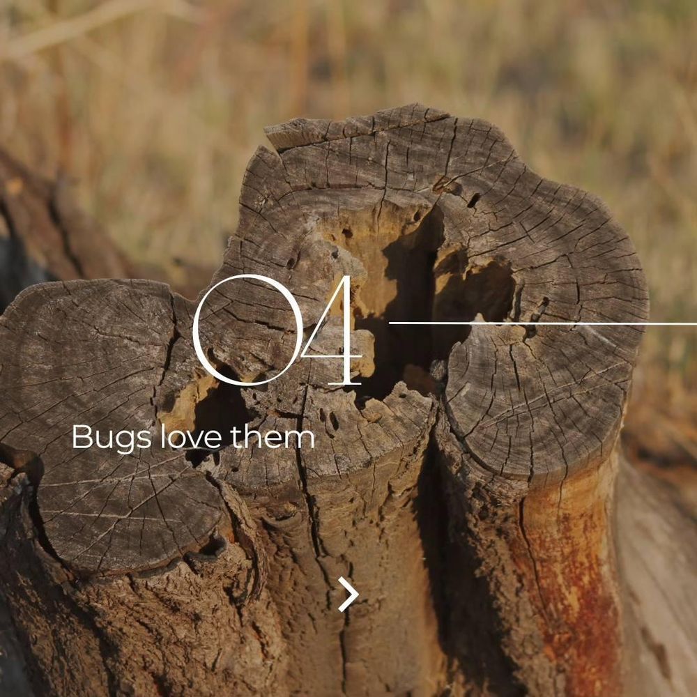 All Photos for Oakwood Tree Removal LLC in Oak Creek,  WI