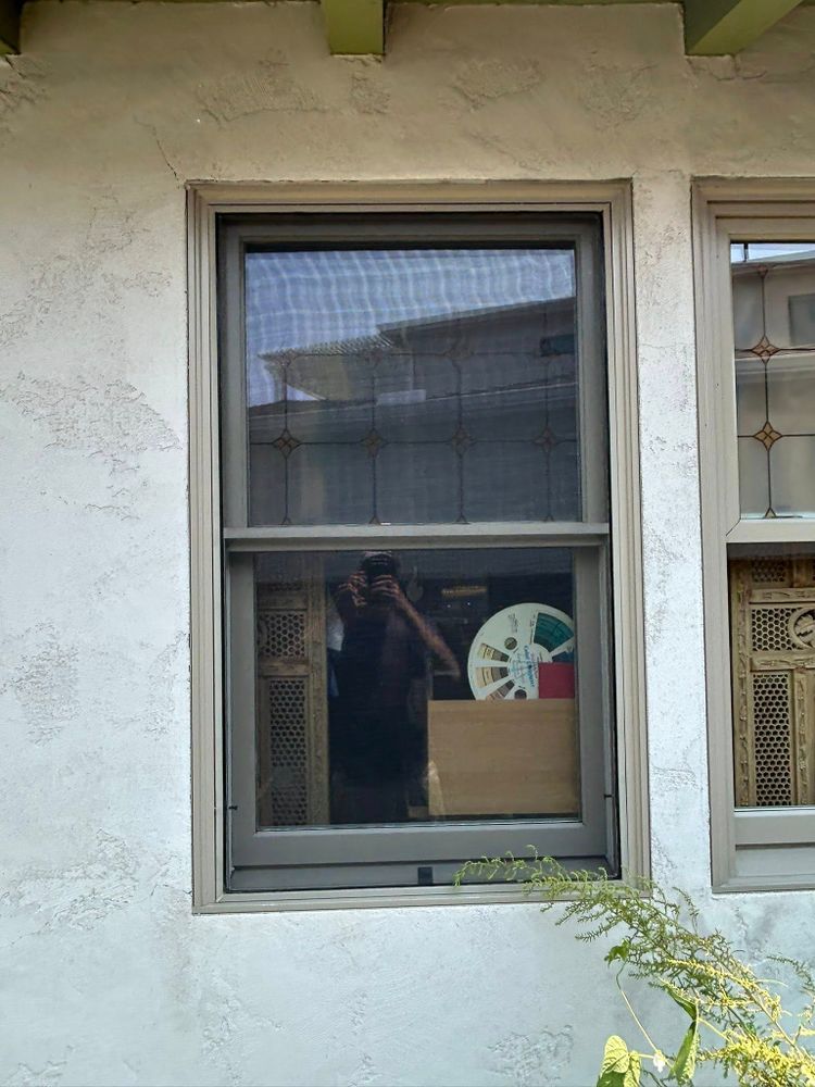 Our Work for Amazing View Services in San Diego, CA