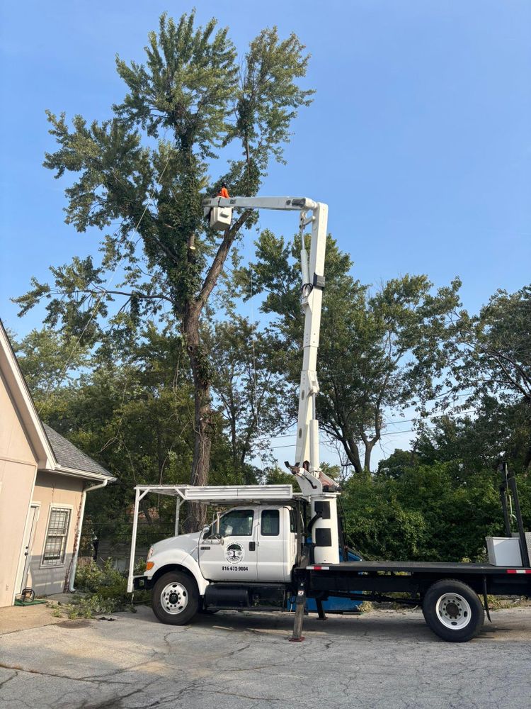 All Photos for Cross Family Tree Service in Kearney, MO