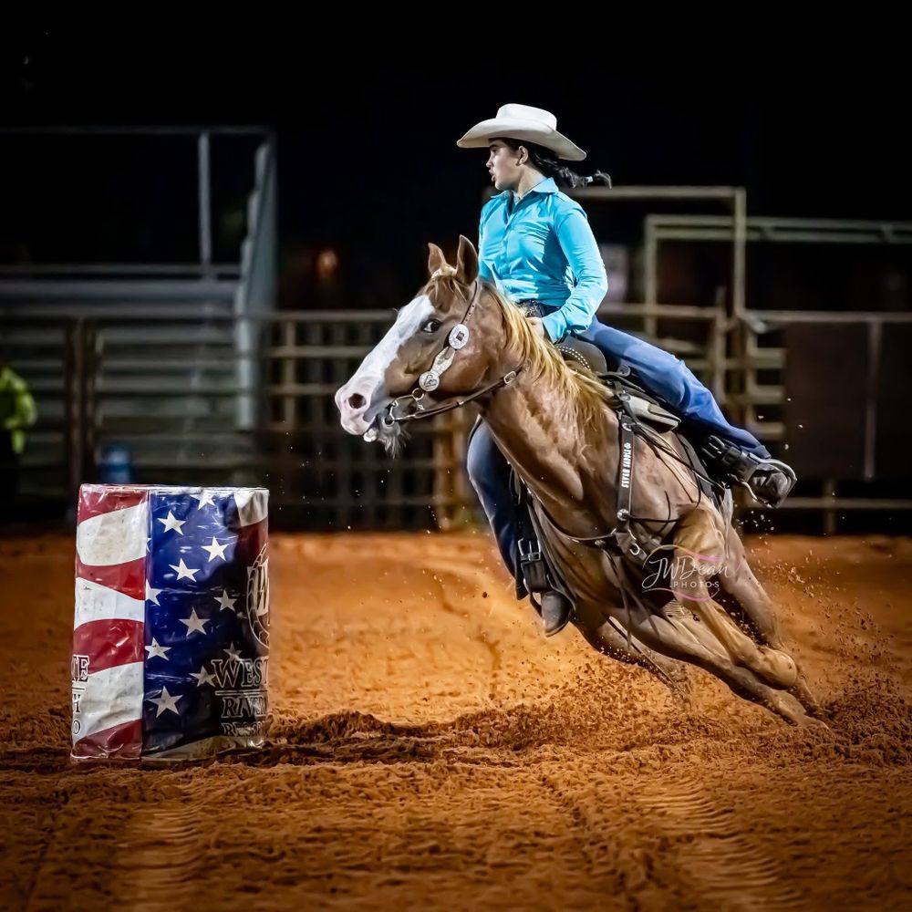 All Photos for Florida Native Equestrian Development in Central Florida, FL