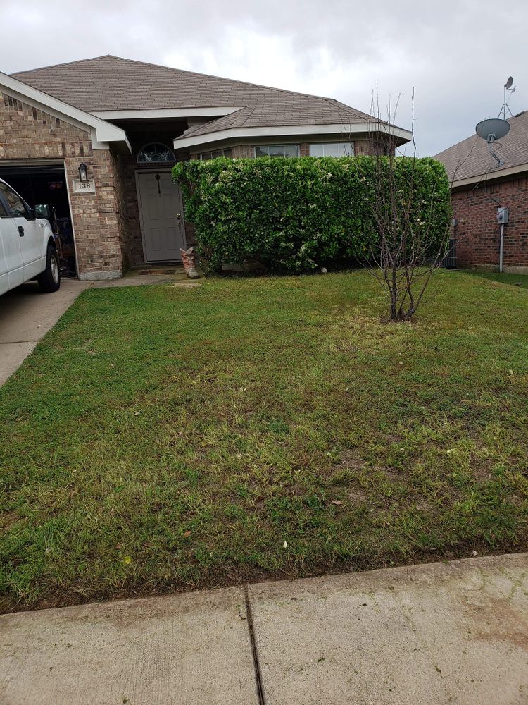 All Photos for Paquito's Landscaping in Ellis County, TX