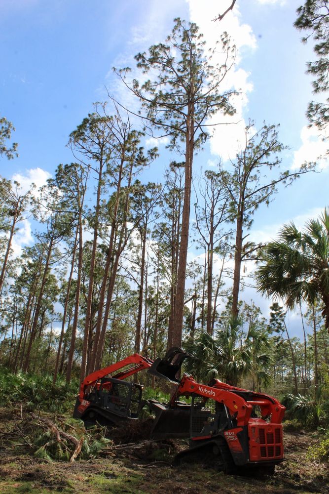 Tree Removal for American Tree Masters in Alvin, TX