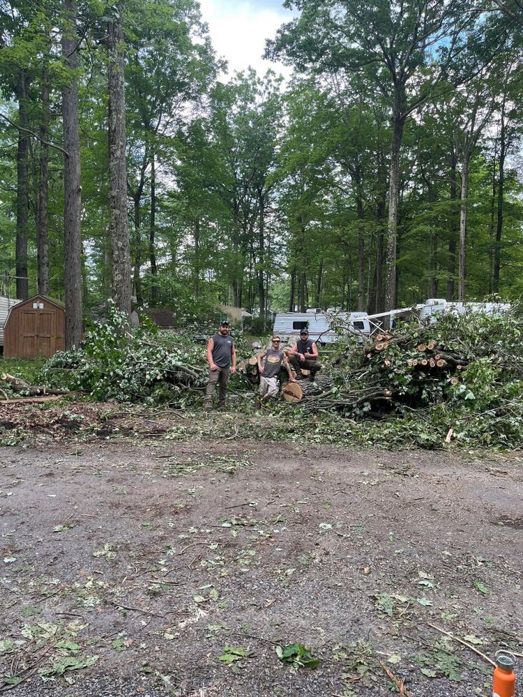 All Photos for J&E Tree & Excavation Services in Sandy, PA