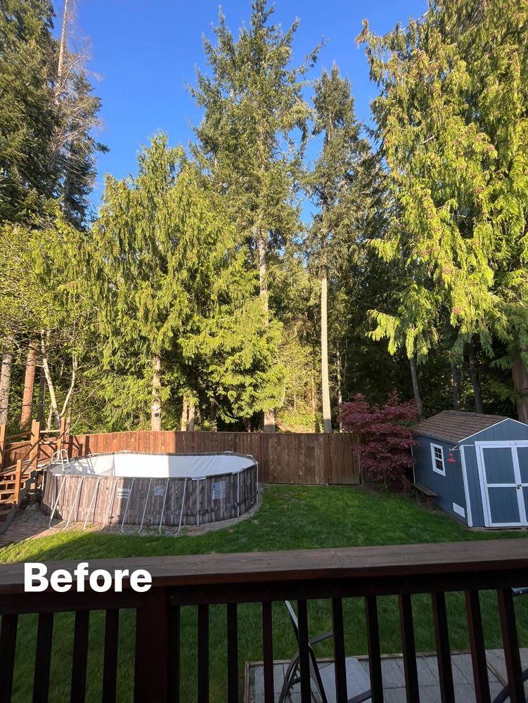 Tree Removal for Puget Sound Tree LLC in Bremerton, WA