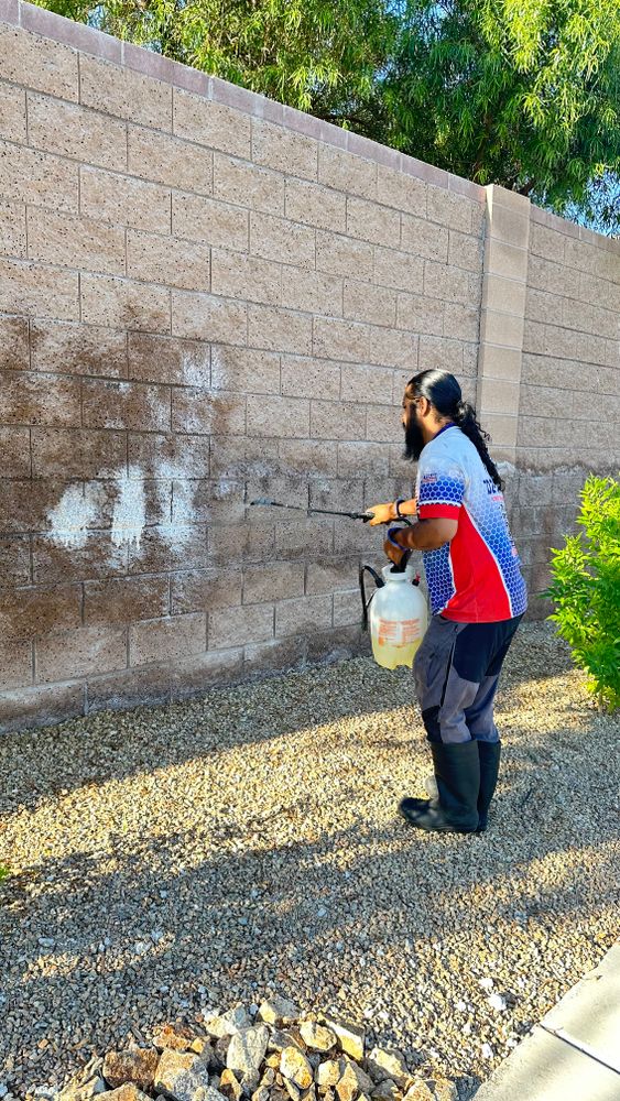 Commercial Window Cleaning for Patriot Power Washing in Sunrise Manor, NV