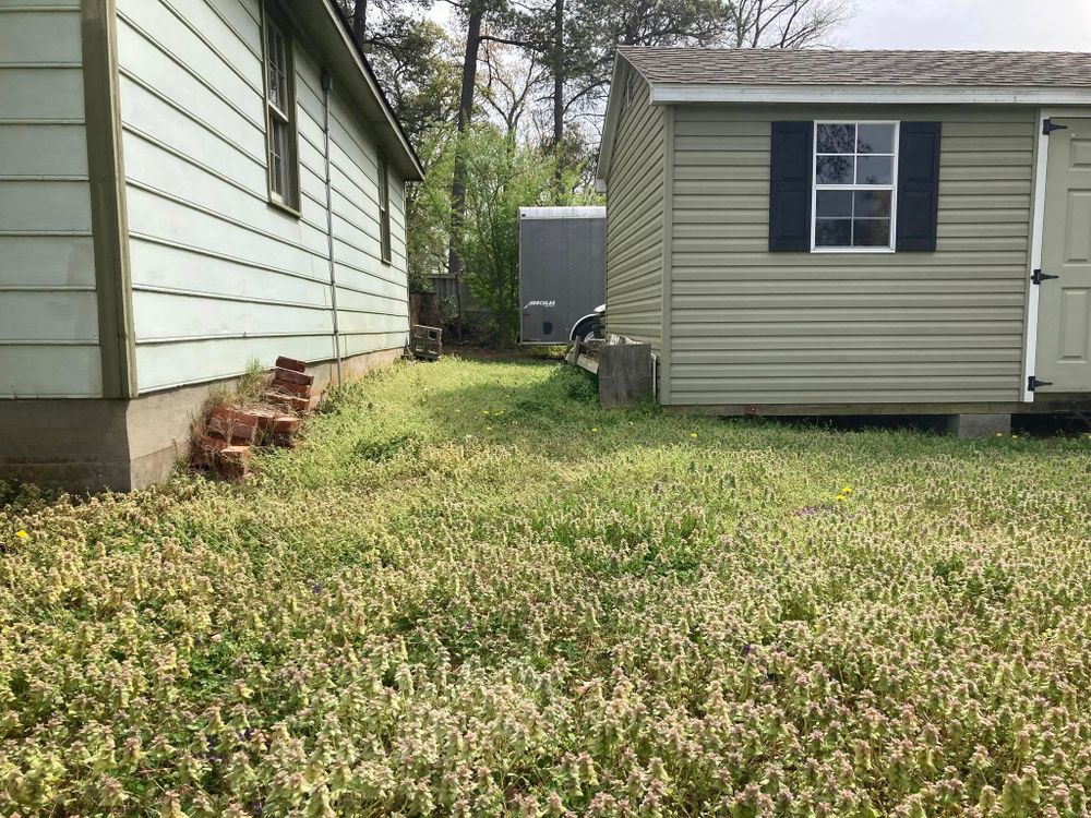 All Photos for Green Horizon Lawncare in North Chesterfield, VA