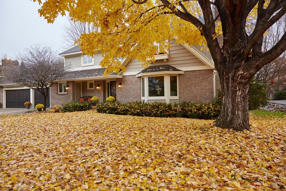 Our Fall Clean Up service includes leaf removal, gutter cleaning, hedge trimming, and lawn reseeding to prepare your yard for winter. Let us help you maintain a clean and healthy outdoor space. for Tactical Lawn Maintenance in  Murfreesboro ,  TN