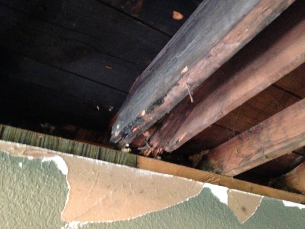 All Photos for CSI of Chicago in Chicago, IL