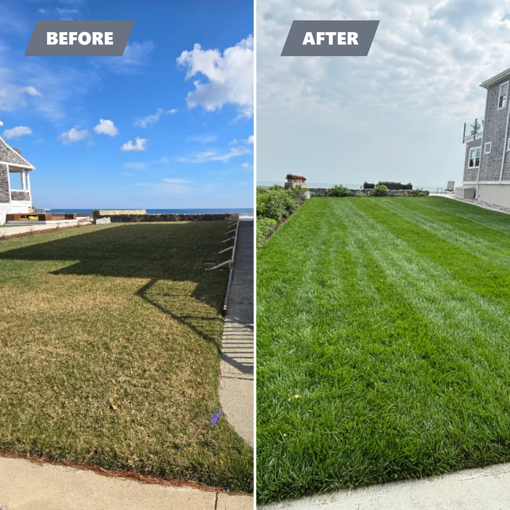 All Photos for Pungitore Landscapes, Irrigation & Fertilizer in Hingham, MA
