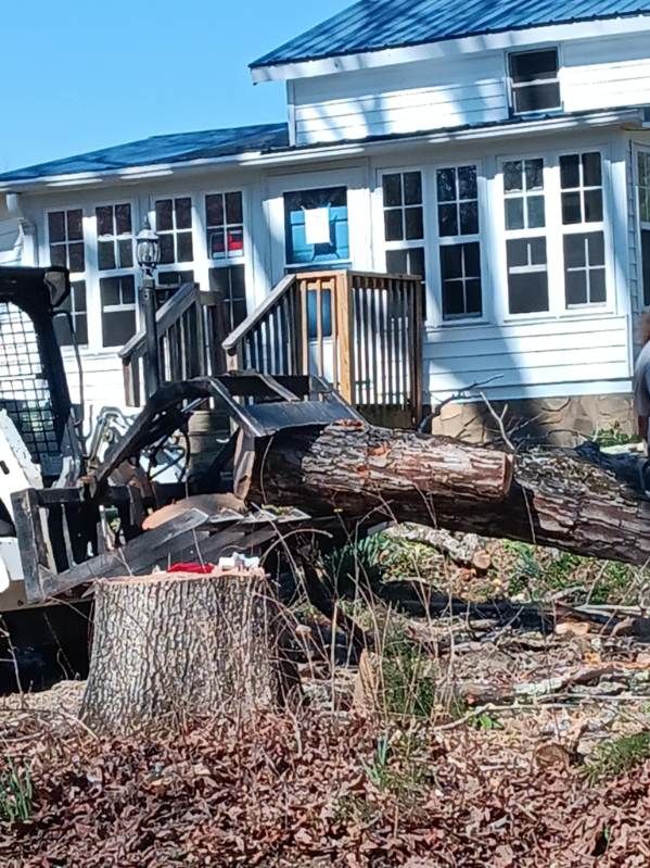 All Photos for Backwoods Tree Experts in Hickory, NC