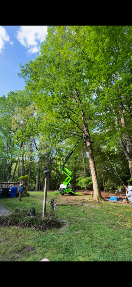 Enhance your property's beauty and safety with our expert tree trimming service, ensuring healthy growth, improved aesthetics, and preventing potential hazards by maintaining the optimal structure of your trees. for James River Tree Service in Suffolk, VA
