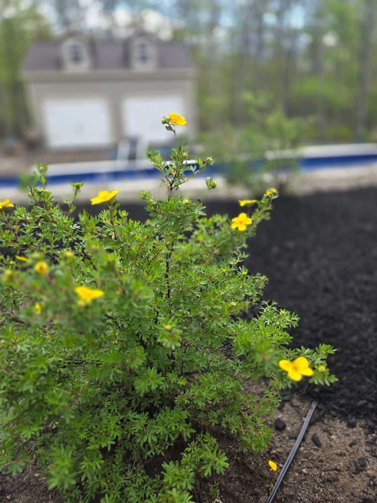 All Photos for Tony Monaco Landscaping Inc. in Orange County, NY